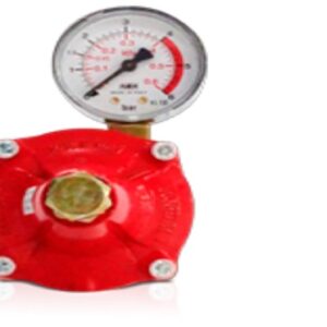 REGULADOR 60 KG/H FORMAGAS C/ MANOMETRO